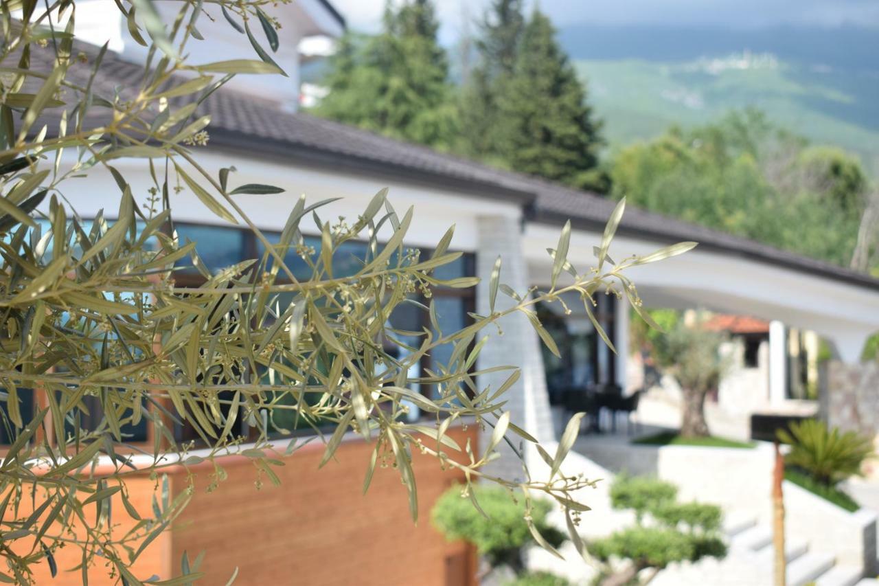Chateau Linza Resort Tirana Kültér fotó